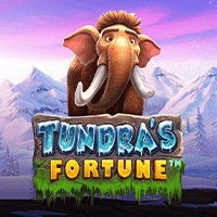Tundra Fortune